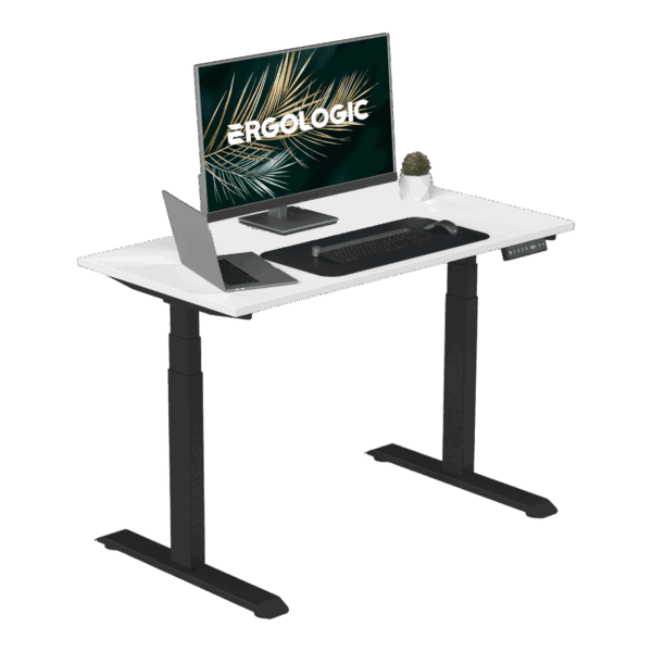 EL002 SBR P FW 1200X600 Dual motor Electric Height Adjustable Desk Frame Three Stage WITH SOLID WOOD TABLE TOP HARD WOOD TABLE TOP Sit stand desk standing desk ( (3)