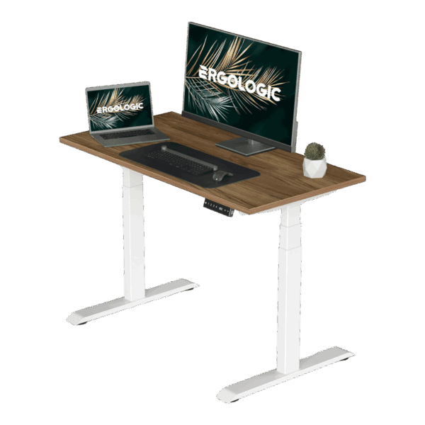 EL002 SWR P DO 1200X600 Dual motor Electric Height Adjustable Desk Frame Three Stage TABLE TOP Sit stand desk standing desk adjustable height table White frame (1)