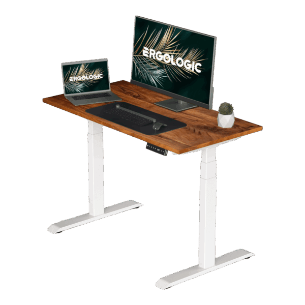 EL002 SWR P SW 1200X600 Dual motor Electric Height Adjustable Desk Frame Three Stage WITH SOLID WOOD TABLE TOP HARD WOOD TABLE TOP Sit stand desk standing desk ( (3)