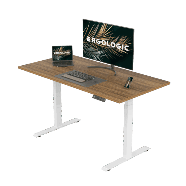 EL001-SWR-P-DO-1200X600 Ergologic Dual Motor 2 Stage White Color Desk Electric Height Standing Adjustable Desk Frame Two Stage office motorized Table Premium Quality