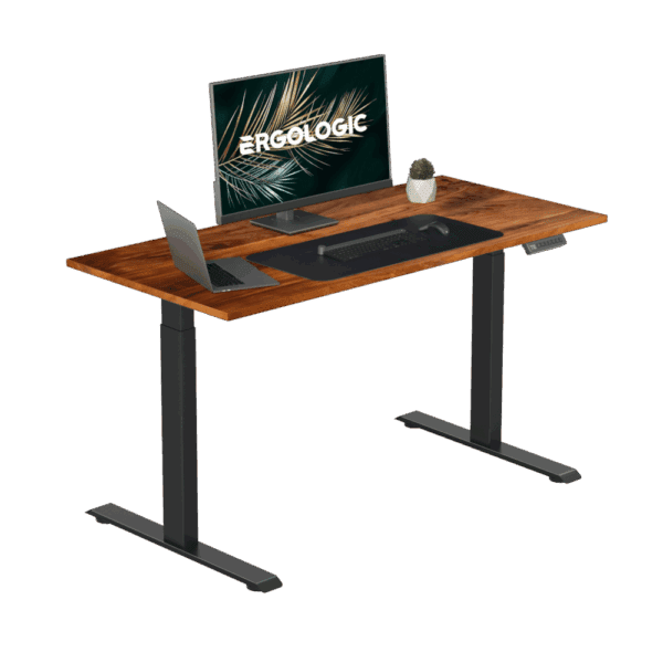 EL001-SBR-P-SW-1200X600 Ergologic imported Dual Motor 2 Stage Black Color Desk Electric hydruallic Height Standing Adjustable Desk Frame Two Stage office motorized automatic Table Premium Quality