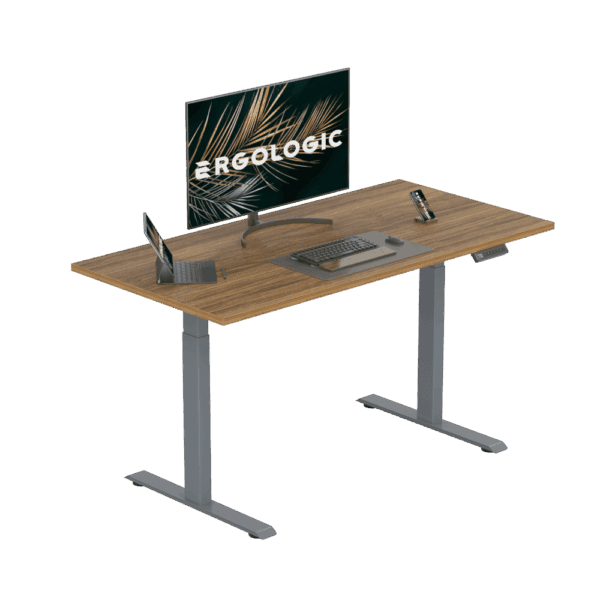 EL001-SGR-P-DO-1200X600 Ergologic Dual Motor 2 Stage Grey Color Desk Electric Height Standing Adjustable Desk Frame Two Stage office motorized Table Premium Quality