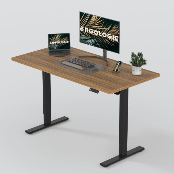 Electric Sit Stand Desk - Height Adjustable Ergonomic Table - Only Frame - Dual Stage EL009 RBR DO