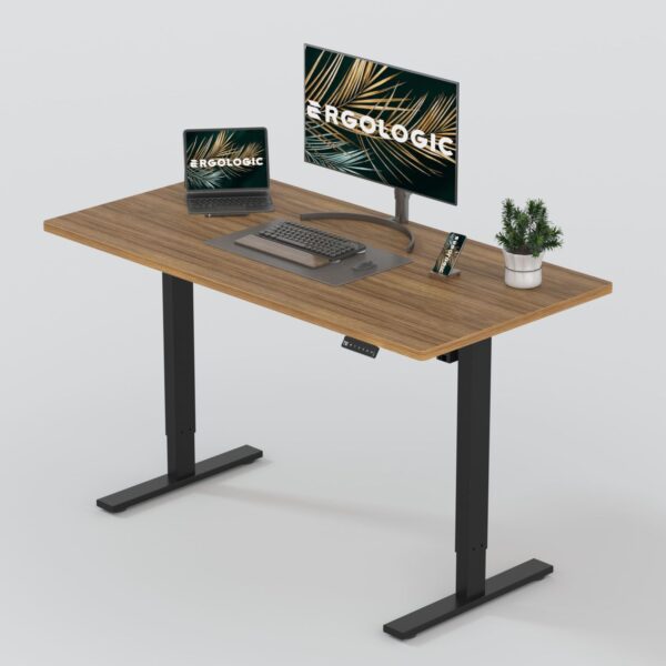 Electric Sit Stand Desk - Height Adjustable Ergonomic Table - Only Frame - Dual Stage EL009 RBR DO