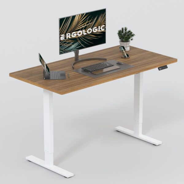 Electric Sit Stand Desk - Height Adjustable Ergonomic Table - Only Frame - Dual Stage standing desk with anti collision EL009 RWR DO