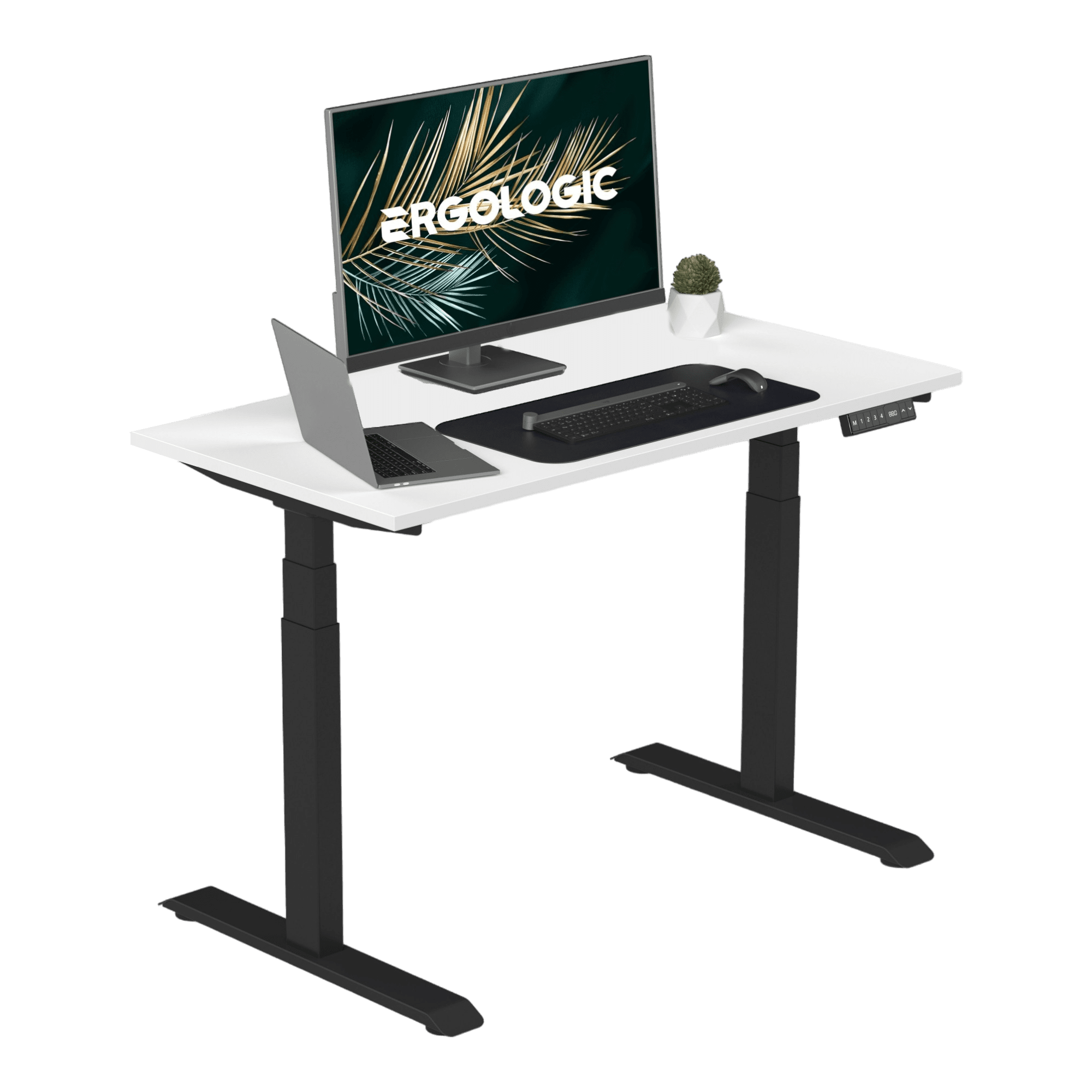 Dual Motor Electric Height Adjustable Desk With Table Top 3 Stage