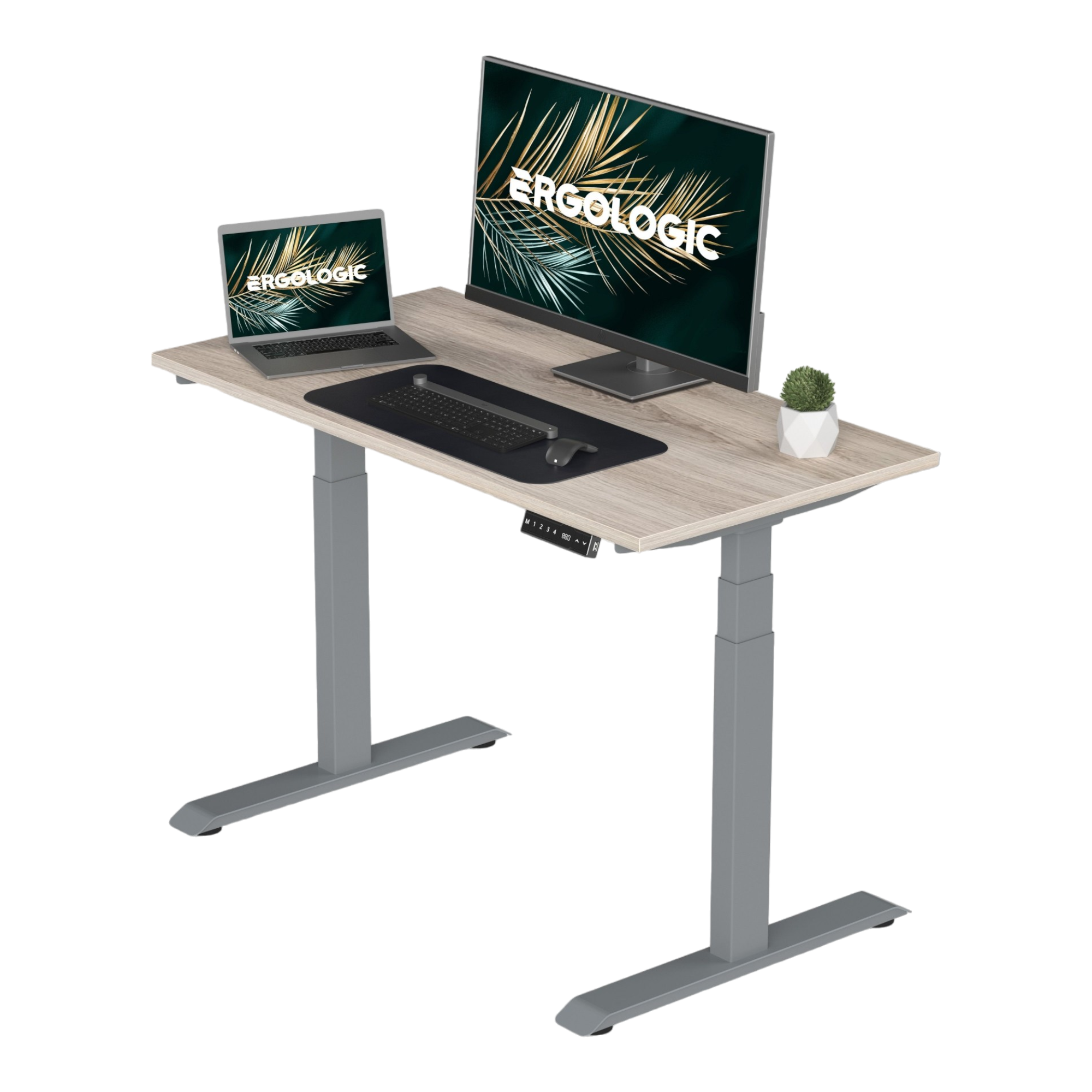 Dual Motor Electric Height Adjustable Desk With Table Top 3 Stage