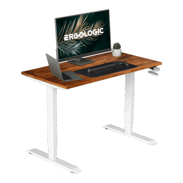 EL003 SWR P SW 1200X600 Manual Heright Adjustable Desk with table top (2)