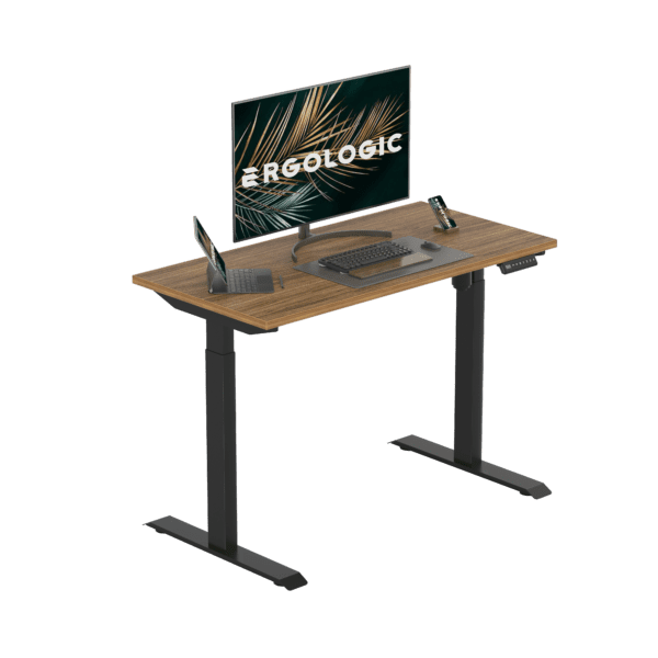 EL009-SBR-P-DO-1200x600 Ergologic Height Adjustable desk India single motor Electric hydraulic sit stand desk two Stage office motorized automatic standing desk Table