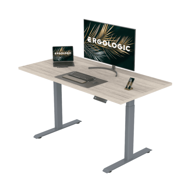 EL001-SGR-P-LO-1200X600 Ergologic Dual Motor 2 Stage White Color Desk Electric Height Standing Adjustable Desk Frame Two Stage office motorized Table Premium Quality
