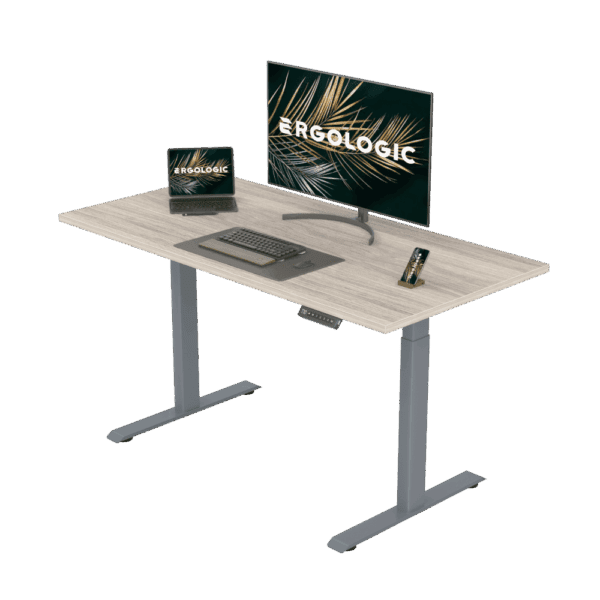 EL001-SGR-P-LO-1200X600 Ergologic Dual Motor 2 Stage White Color Desk Electric Height Standing Adjustable Desk Frame Two Stage office motorized Table Premium Quality