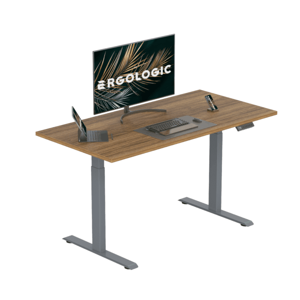 EL001-SGR-P-DO-1200X600 Ergologic Dual Motor 2 Stage Grey Color Desk Electric Height Standing Adjustable Desk Frame Two Stage office motorized Table Premium Quality