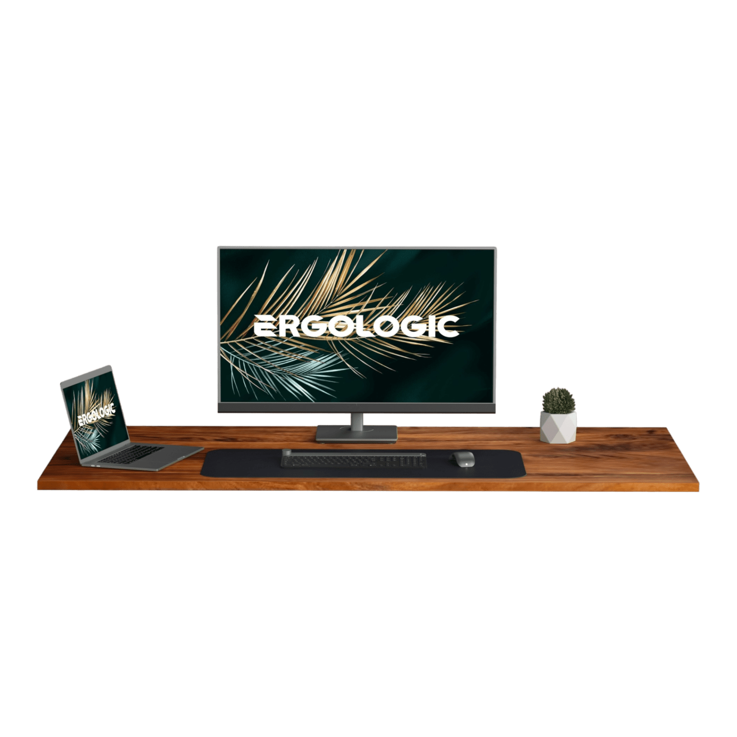 Table Top for Height Adjustment Standing Desk | 25mm Thickness | Acacia Solid Wood with Lacquered Surface 2