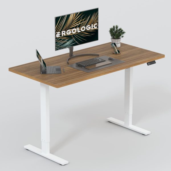 Electric Sit Stand Desk - Height Adjustable Ergonomic Table - Only Frame - Dual Stage standing desk with anti collision EL009 RWR DO