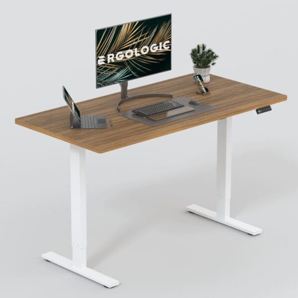 Electric Sit Stand Desk - Height Adjustable Ergonomic Table - Only Frame - Dual Stage standing desk with anti collision EL009 RWR DO